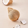 Brown Coconut