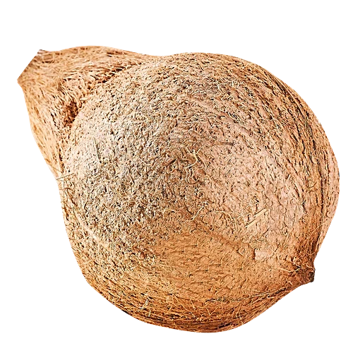 Brown Coconut