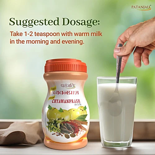 Patanjali Special Chyawanprash, 500 g Bottle