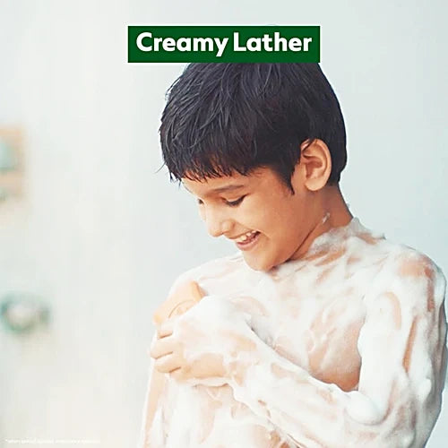Dettol Original Soap, 100 g