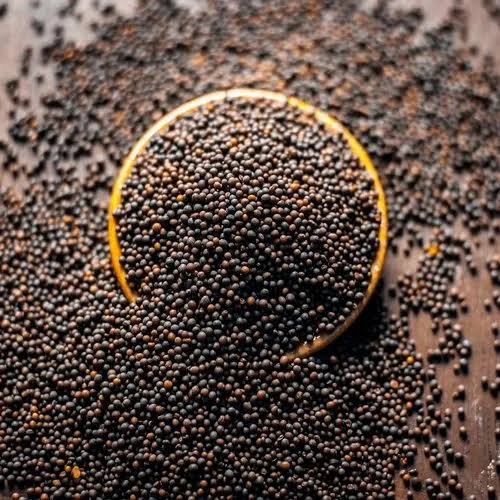 Rai Big, 500 G